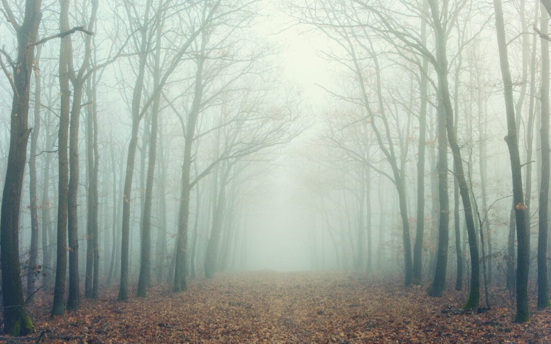 Die dunkle Jahreszeit: Stimmungsveränderungen im Herbst und Winter – und wie Sie gut damit umgehen können